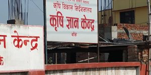 भारतीय सागसब्जीमा कडाइ, बाँकेका किसानका उत्पादनले पायो बजार