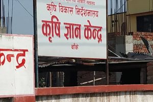 भारतीय सागसब्जीमा कडाइ, बाँकेका किसानका उत्पादनले पायो बजार