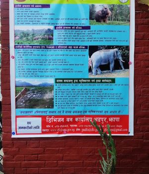 हात्तीपीडितलाई दुई करोड क्षतिपूर्ति