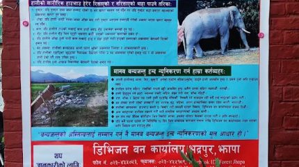 हात्तीपीडितलाई दुई करोड क्षतिपूर्ति