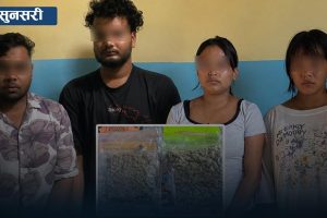 हुलाकबाट आएको पार्सलमा थाई गाँजा भेटिएपछि चार जना पक्राउ