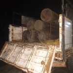 रातको अँध्यारोमा लालबकैया खोलाबाट काठ तस्करीको प्रयास, २७ क्युबिक फिट साल बरामद