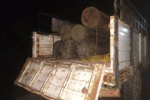 रातको अँध्यारोमा लालबकैया खोलाबाट काठ तस्करीको प्रयास, २७ क्युबिक फिट साल बरामद
