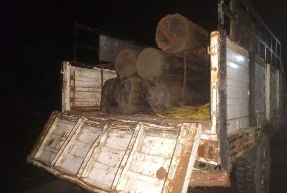 रातको अँध्यारोमा लालबकैया खोलाबाट काठ तस्करीको प्रयास, २७ क्युबिक फिट साल बरामद