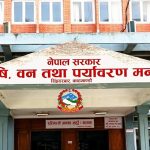 सरकारले १५ हजार मेट्रिक टन धान खरिद गर्ने