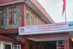पोखरा महानगरमा ६ प्रकारका सीपमूलक तालिमका लागि आवेदन आव्हान