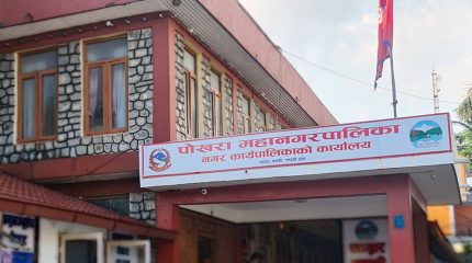 पोखरा महानगरमा ६ प्रकारका सीपमूलक तालिमका लागि आवेदन आव्हान