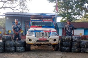 तरकारीको आडमा गाँजा तस्करी : मोरङमा ५७० किलो बरामद, पिकअप छाडेर चालक फरार