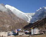 लाङटाङमा बढ्दै छन् पर्यटक, व्यवसायी उत्साहित