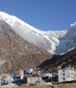 लाङटाङमा बढ्दै छन् पर्यटक, व्यवसायी उत्साहित