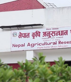 मन्त्री गीता चौधरीद्वारा खुमलटारका अनधिकृत आवास खाली गराउन निर्देशन