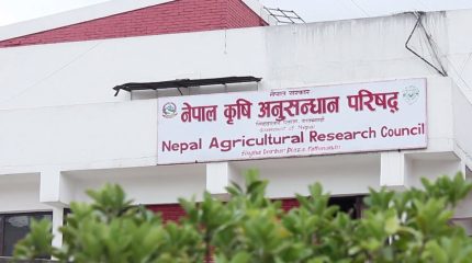 मन्त्री गीता चौधरीद्वारा खुमलटारका अनधिकृत आवास खाली गराउन निर्देशन