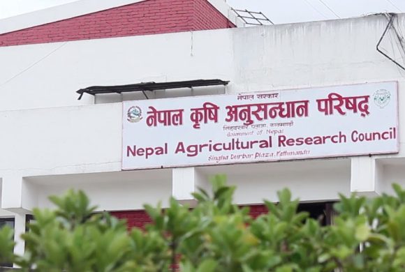 मन्त्री गीता चौधरीद्वारा खुमलटारका अनधिकृत आवास खाली गराउन निर्देशन